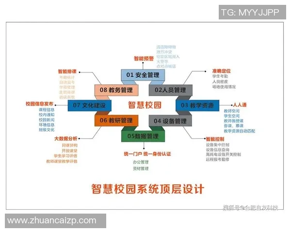 京豆不死鸟对决新势力引发的市场变革与未来展望 京豆不死鸟对决新势力引发的市场变革与未来展望